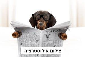 פרסום בעיתון הארץ